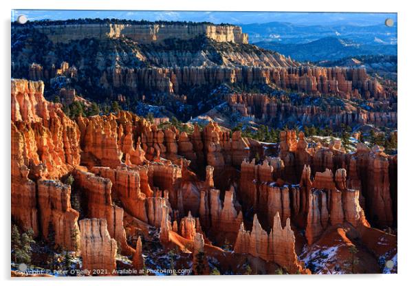 Bryce Canyon Hoodoos Acrylic by Peter O'Reilly
