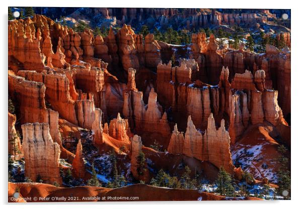 Bryce Canyon Hoodoos Acrylic by Peter O'Reilly