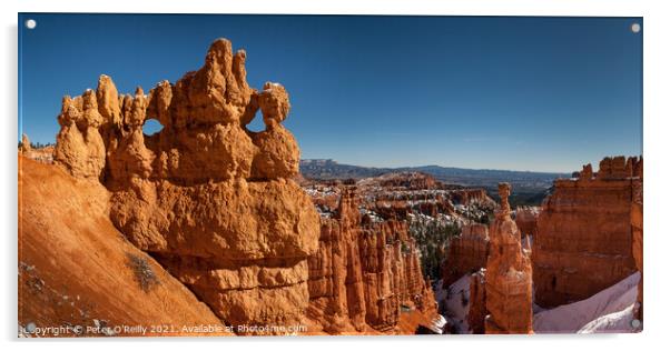 Bryce Canyon, Utah Acrylic by Peter O'Reilly