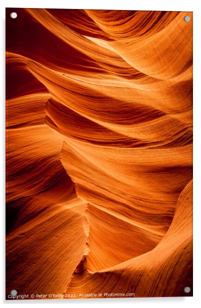 Antelope Canyon Colours #3 Acrylic by Peter O'Reilly