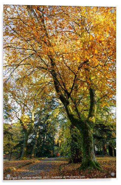 Autumn scenes, Merthyr Tydfil, South Wales, UK. Acrylic by Andrew Bartlett