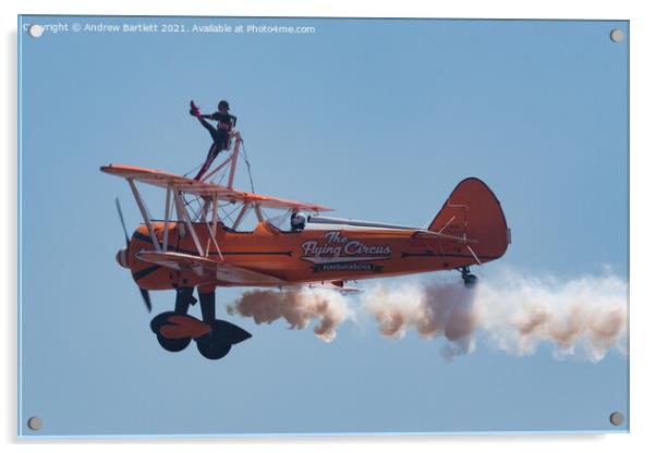 AeroSuperBatics Wing Walkers at Swansea, UK. Acrylic by Andrew Bartlett