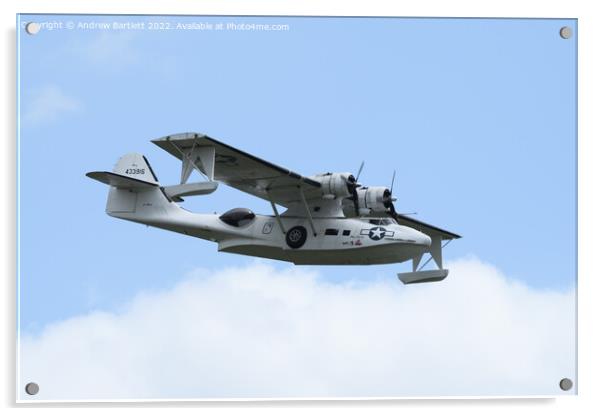 Catalina PBY-5A Acrylic by Andrew Bartlett