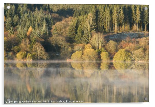  Llwyn-onn reservoir, South Wales, UK, during morn Acrylic by Andrew Bartlett