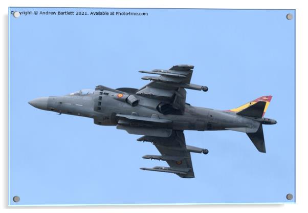 Spanish Navy EAV-8B Harrier II Acrylic by Andrew Bartlett