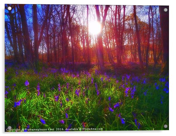 Morning sunlight in Tenterden Kent  Acrylic by Framemeplease UK