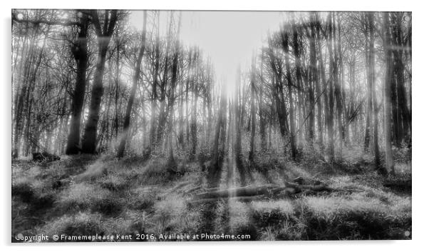 Tenterden morning sunlight in the woods  Acrylic by Framemeplease UK