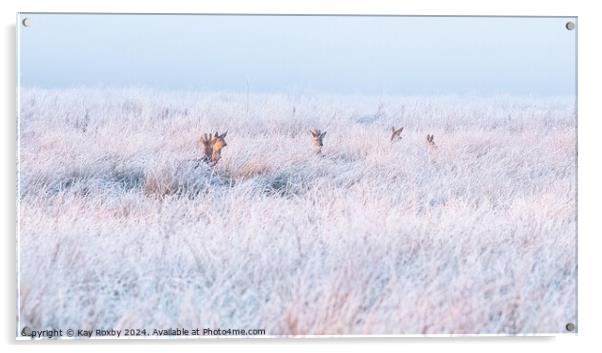 Deer in hoar frost Acrylic by Kay Roxby