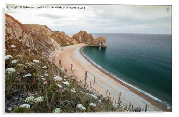 Durdle Door Acrylic by Sebastien Coell