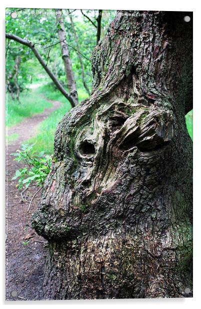  Face in the Bark Acrylic by Becky shorting
