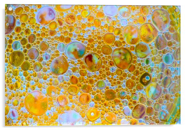 Bubbles Acrylic by Paul Chambers