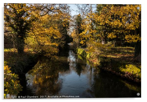 Autumn Colours Acrylic by Paul Chambers