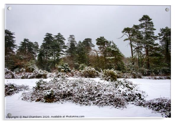 Winter In The New Forest Acrylic by Paul Chambers