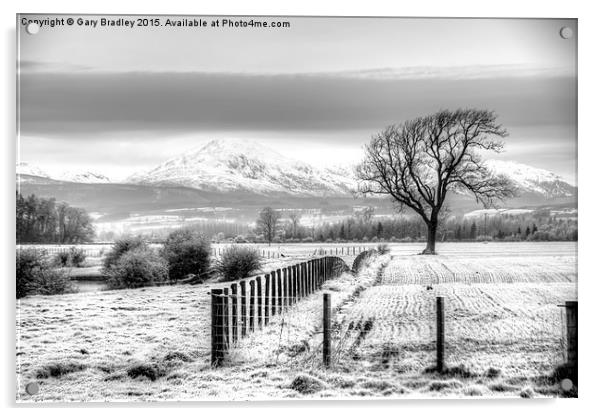  Winter Field Acrylic by GBR Photos