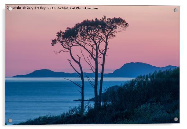 Morar Tree at Sunset Acrylic by GBR Photos