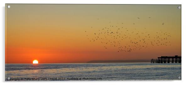 A MURDER OF CROWS OVER HASTINGS PIER Acrylic by Tony Sharp LRPS CPAGB