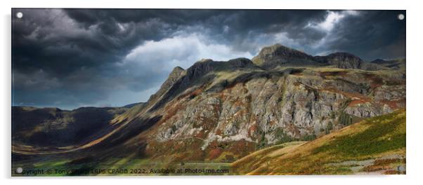 THE LANGDALE PIKES - AFTER THE STORM Acrylic by Tony Sharp LRPS CPAGB