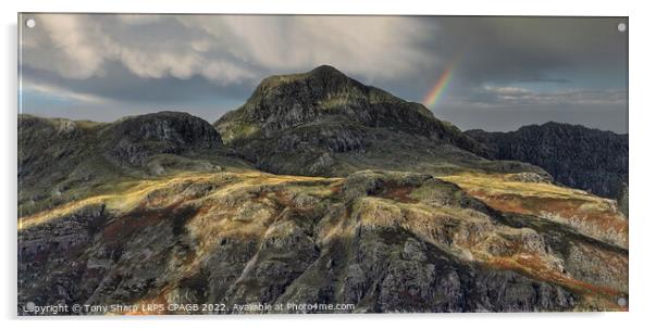 HARRISON STICKLE SUNLIGHT 2 Acrylic by Tony Sharp LRPS CPAGB