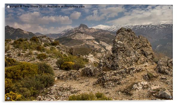  Sierra Nevada Acrylic by Tony Sharp LRPS CPAGB