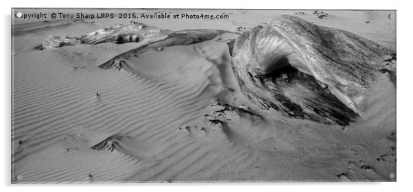 Buried in the Sand Acrylic by Tony Sharp LRPS CPAGB