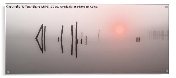 Misty Sunrise Acrylic by Tony Sharp LRPS CPAGB