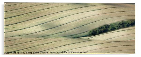 FIELD PATTERNS Acrylic by Tony Sharp LRPS CPAGB