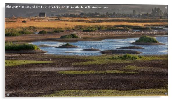 RYE HARBOUR NATURE RESERVE Acrylic by Tony Sharp LRPS CPAGB