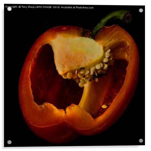RIPE RED PEPPER Acrylic by Tony Sharp LRPS CPAGB