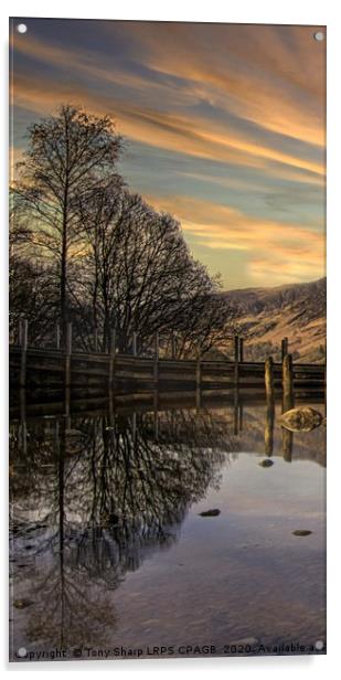 TREE REFLECTIONS ON DERWENTWATER. Acrylic by Tony Sharp LRPS CPAGB