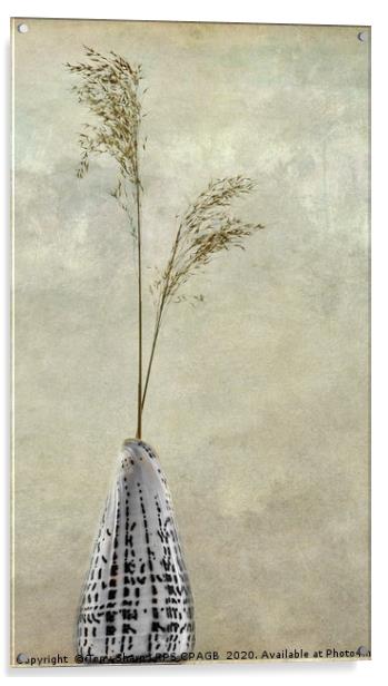 CONE SHELL WITH REED GRASS STEMS Acrylic by Tony Sharp LRPS CPAGB
