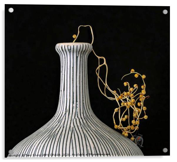 ELEGANT VASE WITH FAN PALM SEED CASES Acrylic by Tony Sharp LRPS CPAGB