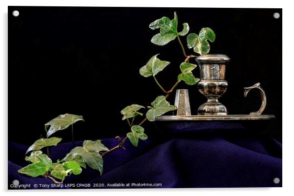CANDLE HOLDER WITH IVY SPRIG Acrylic by Tony Sharp LRPS CPAGB