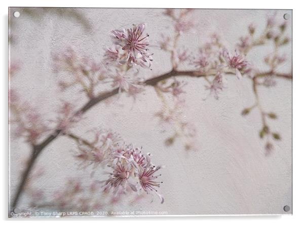 JAPANESE ASTILBE BLOOMS 2 Acrylic by Tony Sharp LRPS CPAGB