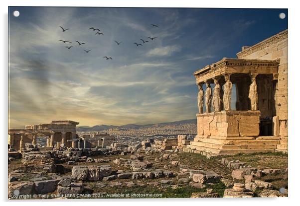 The Caryatid porch of the Erechtheion in Athens Acrylic by Tony Sharp LRPS CPAGB