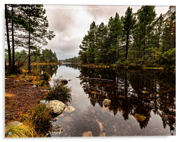 Loch Gamhna - Cairngorms Acrylic by Reg K Atkinson
