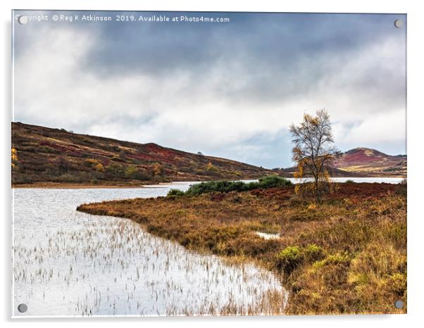 Loch Ceo Glais Acrylic by Reg K Atkinson