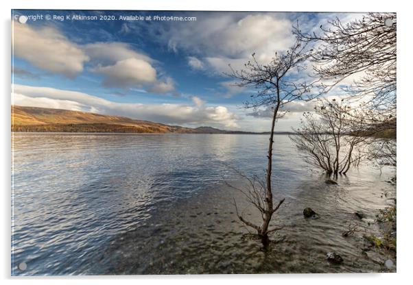 Loch Lomond Acrylic by Reg K Atkinson