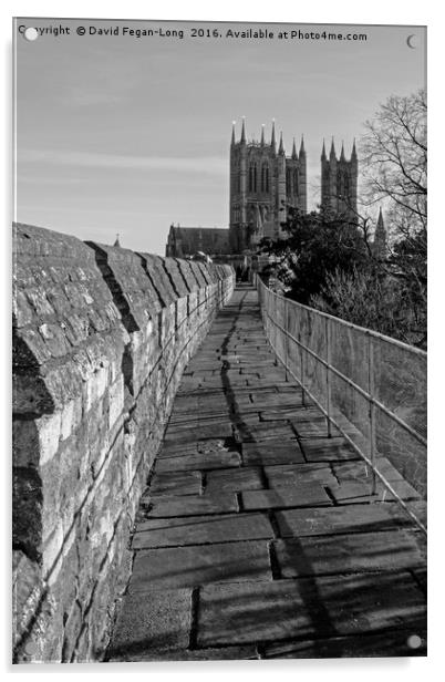 Lincoln Cathedral From The Castle Acrylic by Dave Fegan-Long
