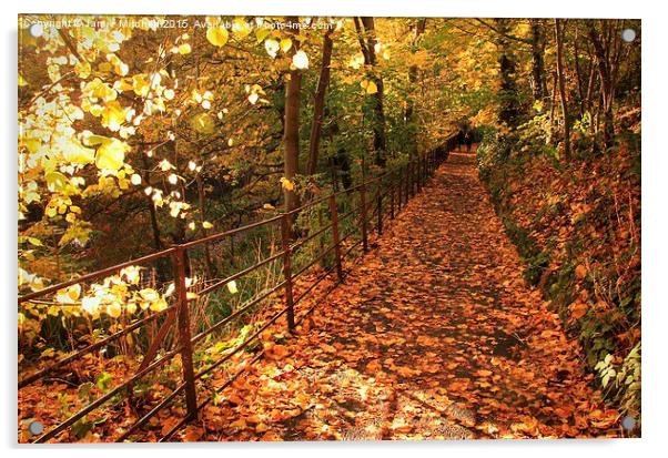  Autumn Walk Acrylic by Jamie Mitchell
