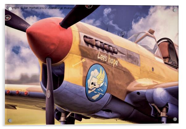 Lee's Hope Warhawk Acrylic by Ian Merton