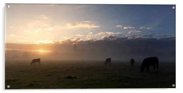  Cows In The Mist Acrylic by Ian Merton