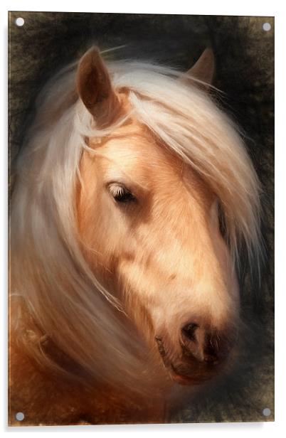  New Forest Pony Acrylic by Ian Merton