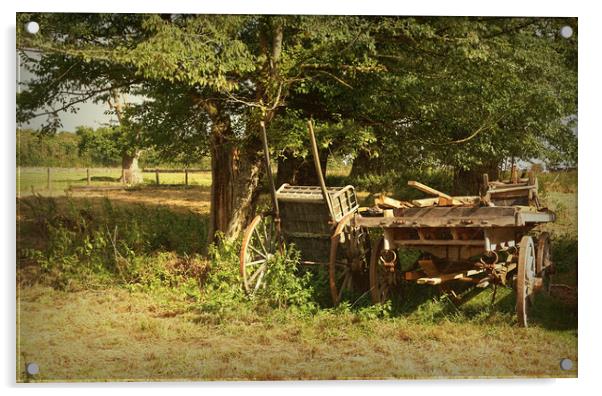 Country Carts Acrylic by Ian Merton