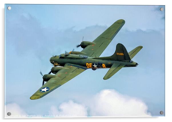 Sally B Acrylic by Ian Merton