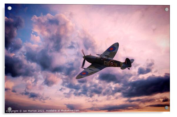 Evening Flight Acrylic by Ian Merton