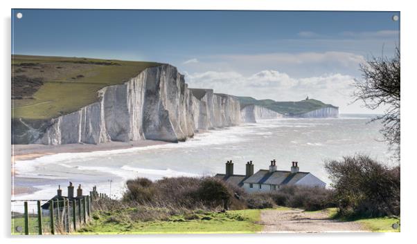 Seven Sisters and Coastguard Cottages at Cuckmere  Acrylic by Nick Rowland