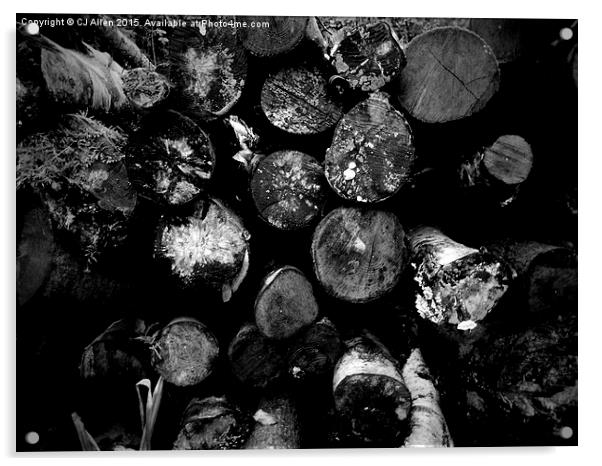 Logs- Black and White Acrylic by CJ Allen