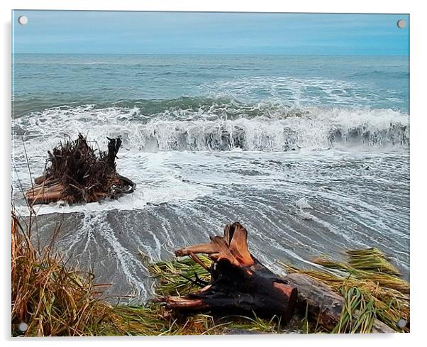  Sea Climbs into the Grass Acrylic by dan Comeau