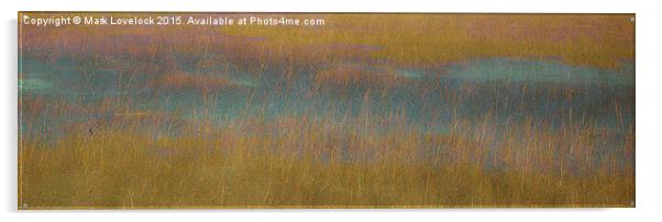  Blakeney Marshes Acrylic by Mark Lovelock