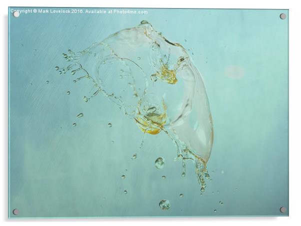 Jelly fish Acrylic by Mark Lovelock